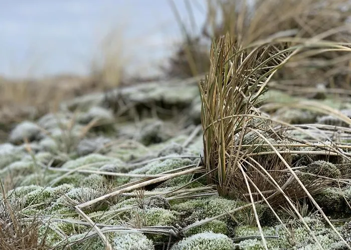 Διαμέρισμα App. Heckermann *